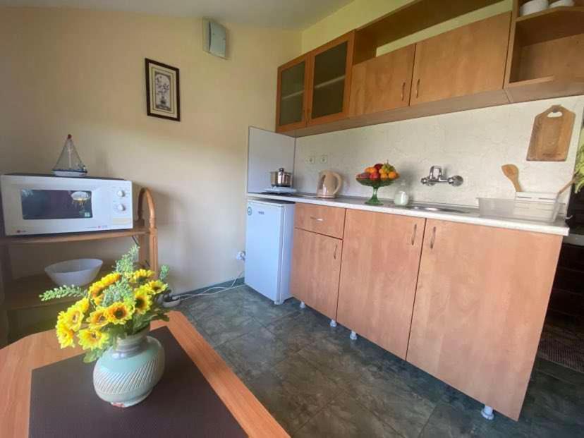 Apartments Yana Obzor Dış mekan fotoğraf